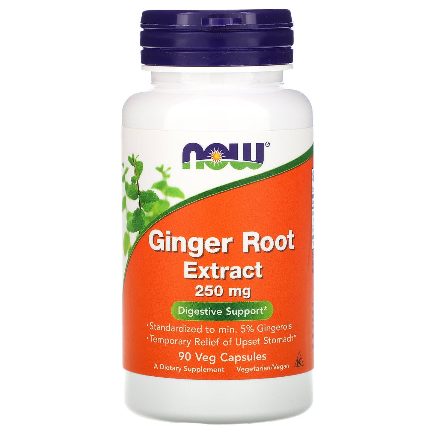 مكمل الزنجبيل لدعم الجهاز الهضمي 250 ملجم 90 كبسولة - NOW Foods Ginger Root